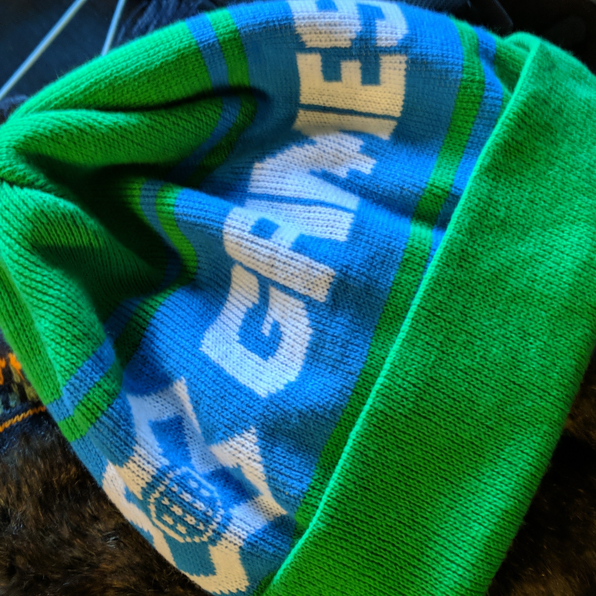 Nwot Winter X Games Beanie